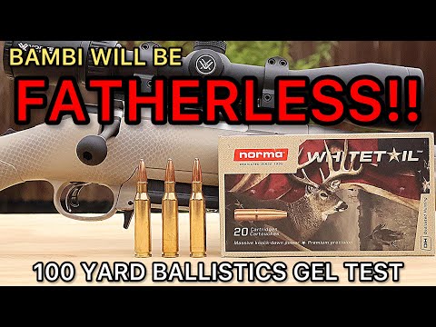 Видео: 7мм-08 МОНСТР?! Тест охотничьих патронов Norma Whitetail