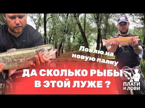 Видео: #6 ЛОВЛЮ ФОРЕЛЬ ЛЕТОМ НА ПЛАТНИКЕ. РАЗЛОВИЛ НОВЫЕ СНАСТИ. РК ОСТРОВ