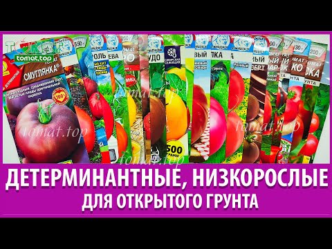 Видео: Выбор детерминантных, низкорослых сортов томатов для открытого грунта. Выбор семян для нового сезона