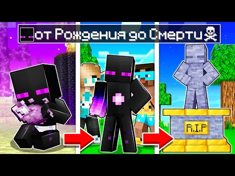 Видео: ✅ Майнкрафт, но Жизнь РАЙМА От РОЖДЕНИЯ До СМЕРТИ!