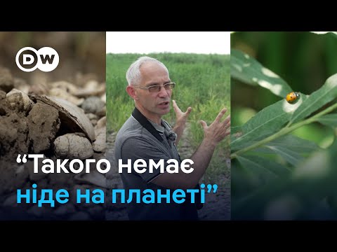 Видео: Як виглядає Каховське водосховище нині і чому екологи проти відбудови ГЕС? | DW Ukrainian