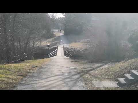 Видео: Прогулка по Локса, весна