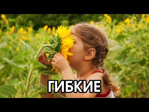 Видео: Соционика: гибкие