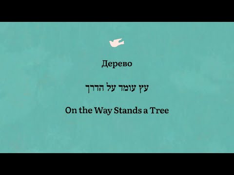 Видео: Дерево || Ансамбль ашкеназской деконструкции