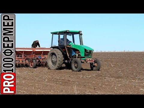 Видео: Посев гороха
