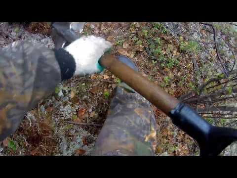 Видео: Коп в Тридевятом Царстве Minelab 3030