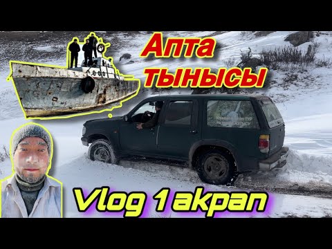 Видео: Апталық шаруалар. Қыс ортасы. 3 февраля 2024 г.