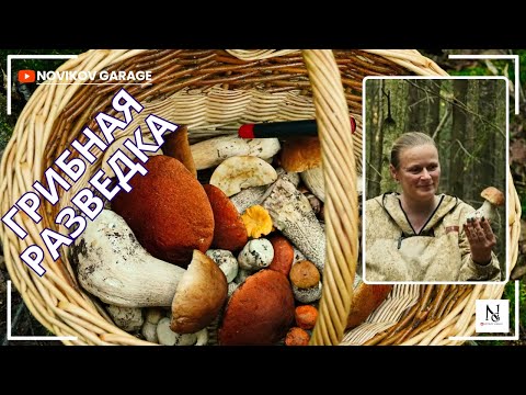 Видео: Грибная разведка 12 августа 2025. Всеволожский район.