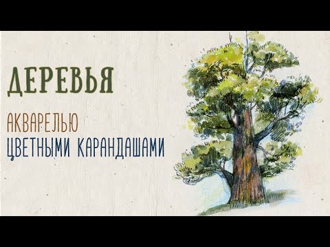 Видео: Пленэр онлайн. Рисуем наброски деревьев в смешанной технике.