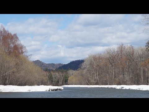 Видео: Весенние чудеса на р.Арму