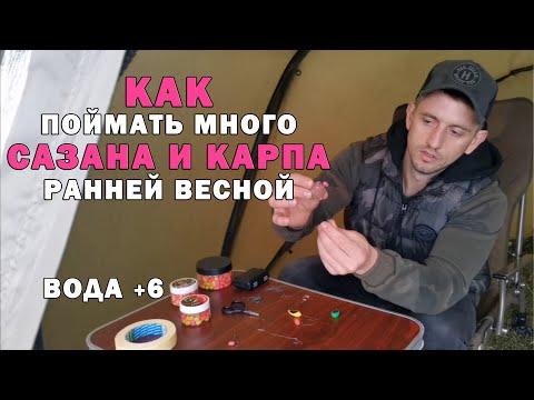 Видео: Карпфишинг. Как поймать МНОГО сазана и карпа по холодной воде. Уловистый поводок на сазана и карпа