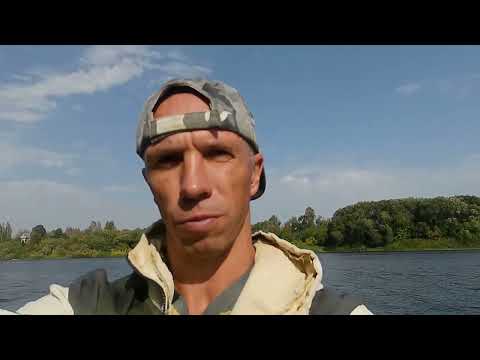 Видео: Щука на бульдог