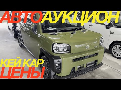Видео: ЯПОНЦЫ ВЫБИРАЮТ ИМЕННО ЭТИ МОДЕЛИ HONDA NWGN NBOX DAIHATSU TAFT NISSAN DAYZ SUZUKI JIMNY EVERY