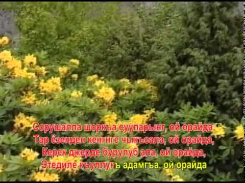 Видео: КЪОБАН ДЖЫРЛАЙДЫ