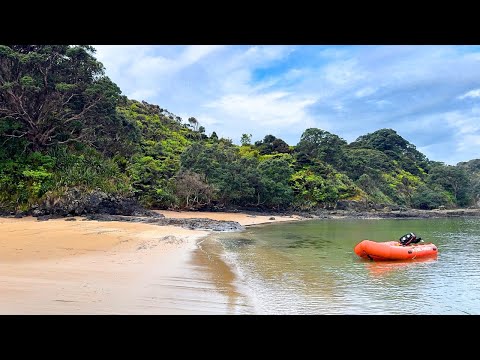 Видео: 3 дня кемпинга и дайвинга на побережье Новой Зеландии