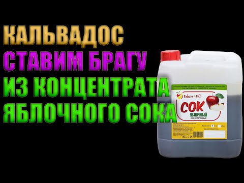 Видео: КАЛЬВАДОС | БРАГА ИЗ КОНЦЕНТРАТА ЯБЛОЧНОГО СОКА ДЖЕМКА
