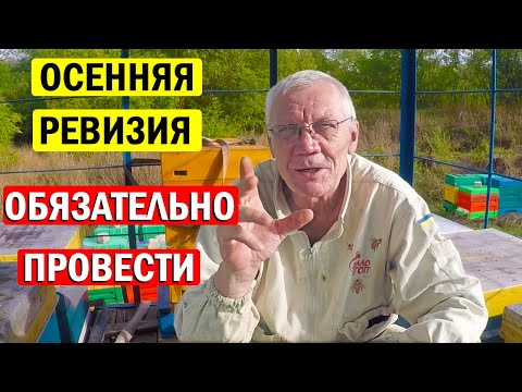 Видео: Осенняя ревизия пчел. Какие Проблемы на пасеке в сентябре?