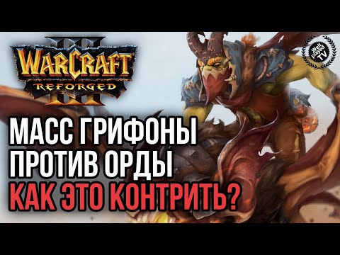 Видео: МАСС ГРИФОНЫ ПРОТИВ ОРДЫ, КАК КОНТРИТЬ?: Warcraft 3 Reforged