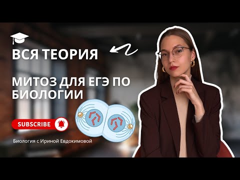 Видео: Весь МИТОЗ для ЕГЭ по БИОЛОГИИ | Биология с Ириной Евдокимовой