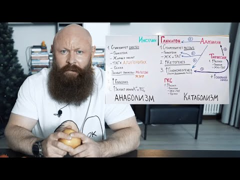 Видео: Сколько Приемов Пищи будет ПРАВИЛЬНО на Диете.