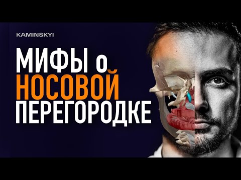 Видео: ПЛОХО ДЫШИТЕ, постоянно забитый нос? Мифы про носовую перегородку / KAMINSKYI