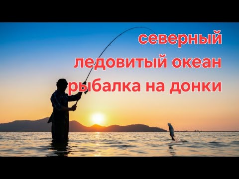 Видео: РЫБАЛКА НА СЕВЕРНОМ ЛЕДОВИТОМ ОКЕАНЕ НА ДОНКИ .