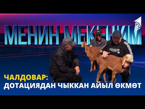 Видео: Чалдовар: дотациядан чыккан айыл өкмөт | Менин мекеним