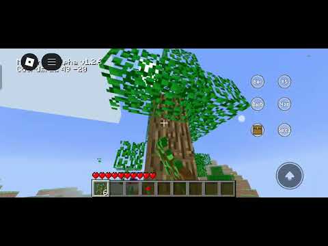 Видео: 1 ноября 2025 г.