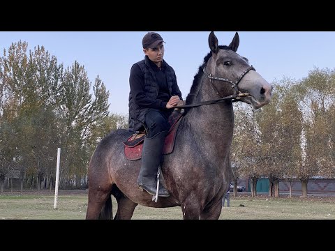 Видео: БЫШТЫ Кара Байыр ЖАЛАЛАБАДТАН Ата Теги ЗОР нерсе 02.11.2022