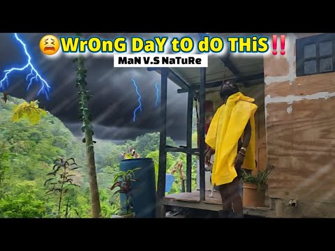 Видео: ОДИН В ТРОПИЧЕСКОМ ЛЕСУ! ЖИЗНЬ БЕЗ ЭЛЕКТРОСЕТИ НА ЯМАЙКЕ (АНАНАС)