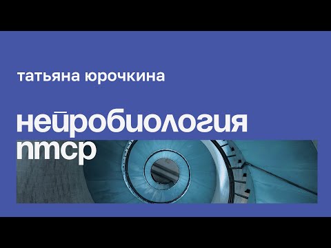 Видео: Нейробиология ПТСР // Татьяна Юрочкина