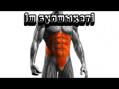 Видео: Іш бұлшықеті. Алдынғы, бүйірлік, артқы іш бұлшықеттері.