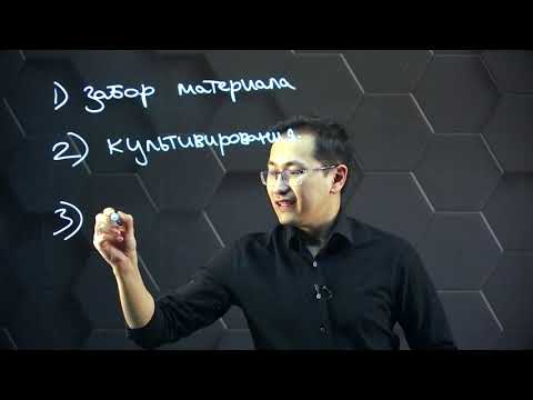 Видео: Этапы микробиологических исследований. 11 класс.