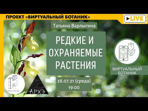 Видео: Лекция "Редкие и охраняемые растения" курса "Ботанические заметки: полезные и опасные"
