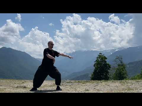 Видео: 24 формы ченьши синьи хуньюань тайцзи, Антонов Антон 19.06.2024
