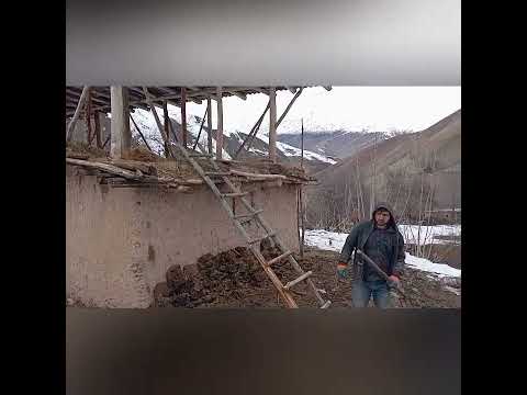 Видео: дехаи Худурён