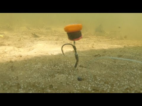 Видео: ОСНАСТКА НА КАРПА + секретная прикормка от и до