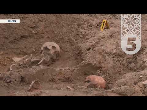 Видео: Ексгумація! На військовому цвинтарі Львова, яке більше відоме як Марсове поле