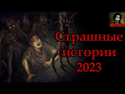 Видео: ЛУЧШИЕ СТРАШНЫЕ ИСТОРИИ 2023 ГОДА! Страшные истории на ночь. Страшилки на ночь. Сборник историй