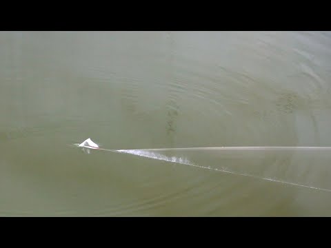 Видео: Рыбалка на Попла-поппер и что можно поймать