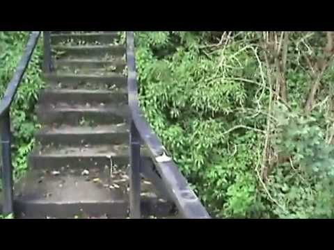 Видео: РАЗБОИШКИ МАНАСТИР