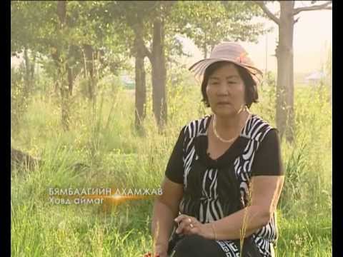 Видео: Эгэл амьдралын мөр 1 - Цөлжилтийг чөдөрлөгч