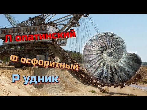 Видео: Окаменелости Лопатинских рудников. Карьеры ЛФР под Воскресенском.