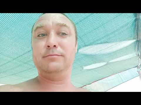 Видео: Холодильник с морозильной камерой. На берегу моря. Всё о нашей. Солнечной системы.