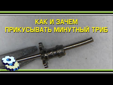 Видео: Как прикусить минутный триб
