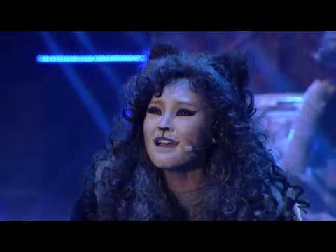 Видео: Ө. Ангелина, Э. Буяндулам, Э. Аминхүслэн, Э. Анужин (Cat's)