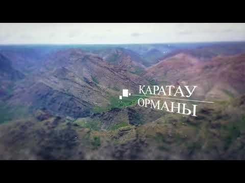 Видео: Қаратау орманы