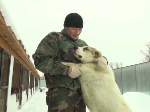 Видео: Тобеттер (Рика ТВ) 14 желтоқсан 2016 жыл