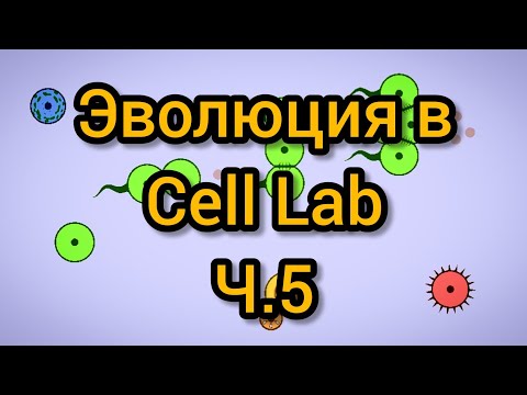 Видео: Cell Lab - 4200ч. - 9400ч. Эволюция при радиации 0,030, ускорение ×32