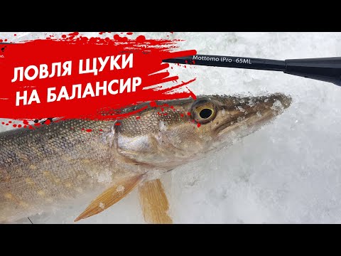 Видео: Ловля щуки на балансир. Глухозимье на малой реке.